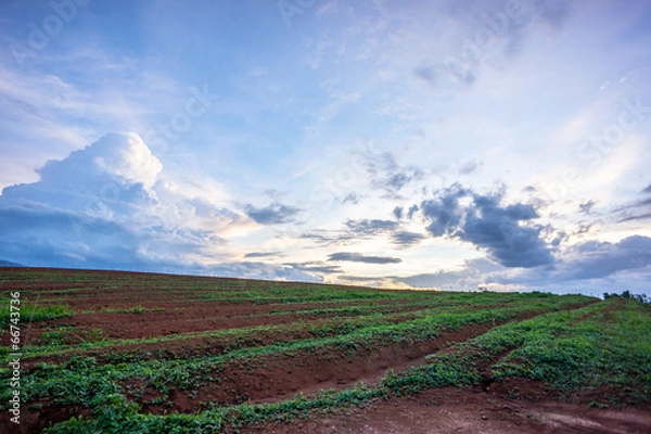 Fototapeta nature landscape