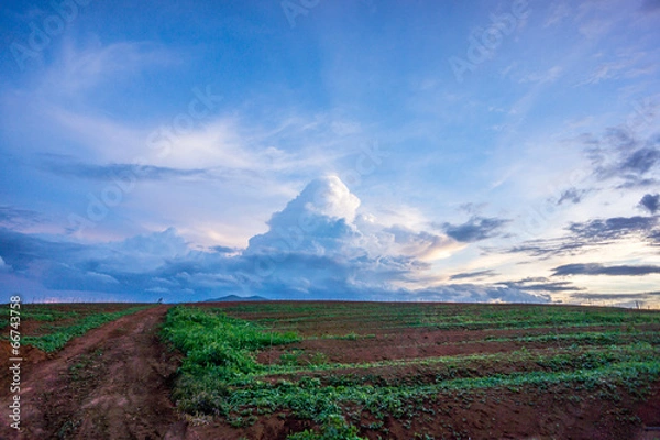 Fototapeta nature landscape