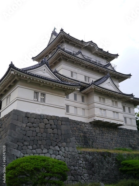 Fototapeta 夕闇の小田原城天守閣