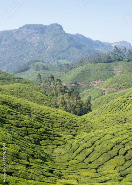 Fototapeta インド旅行　美しい山