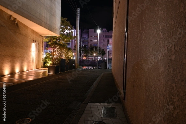 Fototapeta 博多中洲の夜景風景