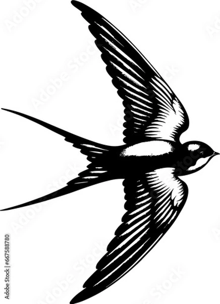 Obraz Swallow Icon Illustration