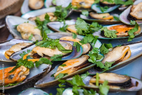 Obraz Mussels.