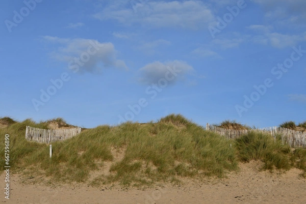 Obraz Dune herbeuse en bord de mer