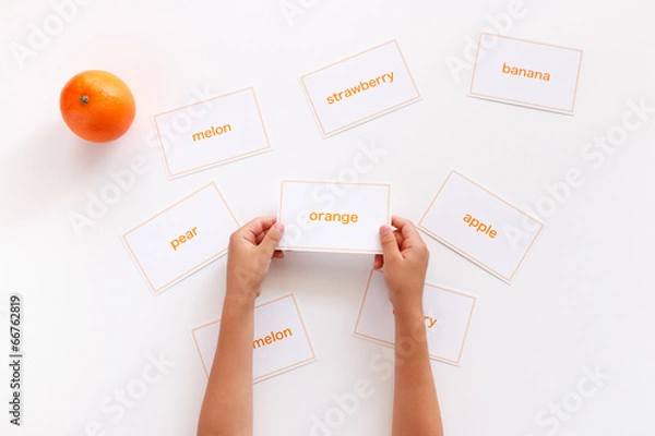 Obraz 英単語の勉強