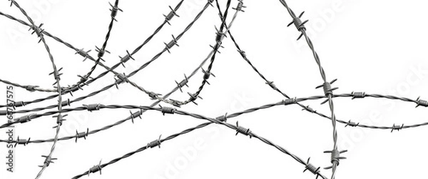 Obraz Barbed wire