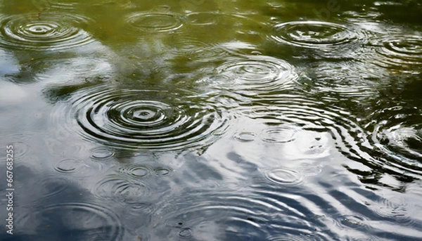 Obraz water ripples on the surface of a pond