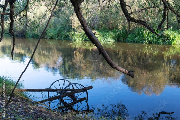 Fototapeta Ecology, environmental conservation. Rusty metal in the water of a quiet small river. Autumn, tree branches and fallen leaves. Reflection in water
