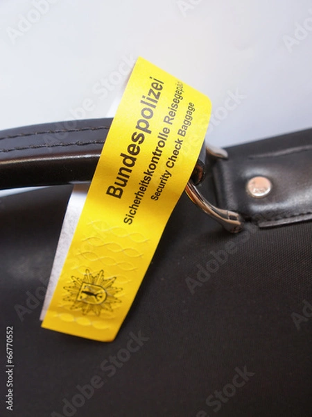 Obraz Security Check Baggage