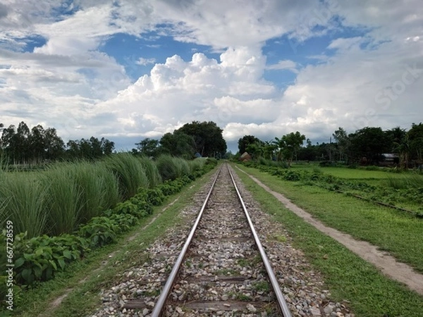 Obraz railway in the forest