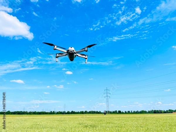 Fototapeta Drone hovering above wheat field, concept of using Drones in agriculture