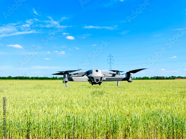 Fototapeta Drone hovering above wheat field, concept of using Drones in agriculture