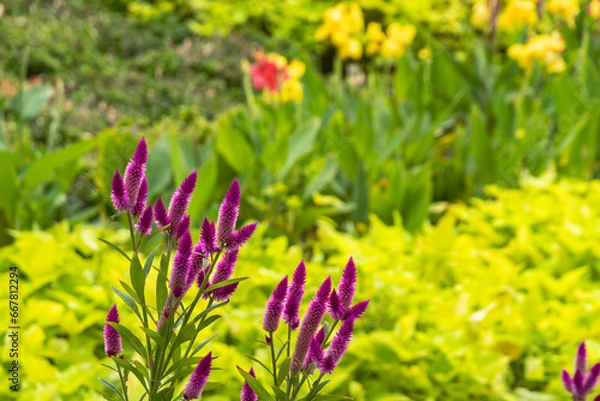 Fototapeta Colorful and cheerful nature scene