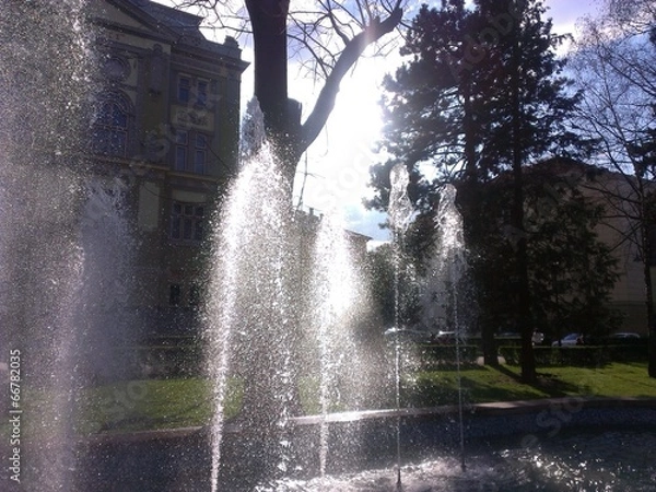 Obraz Public garden in summer