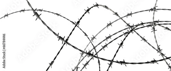 Obraz Barbed wire