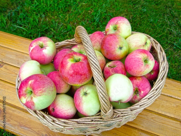 Fototapeta Яблоки в корзине
