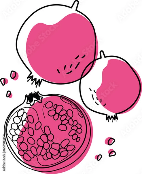 Obraz Background with hand drawn pomegranates. decorative card, sticker.