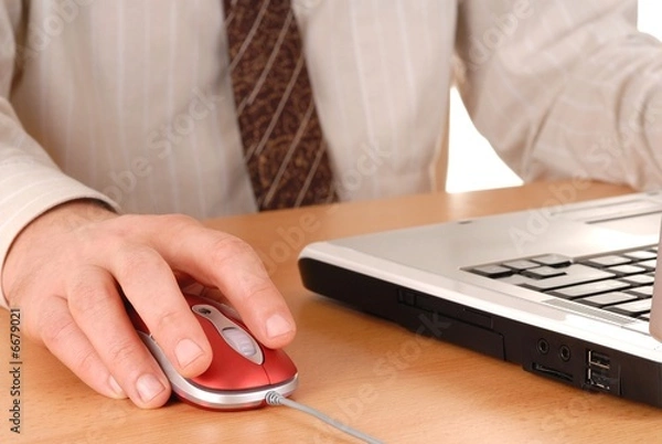 Fototapeta Man with Computer