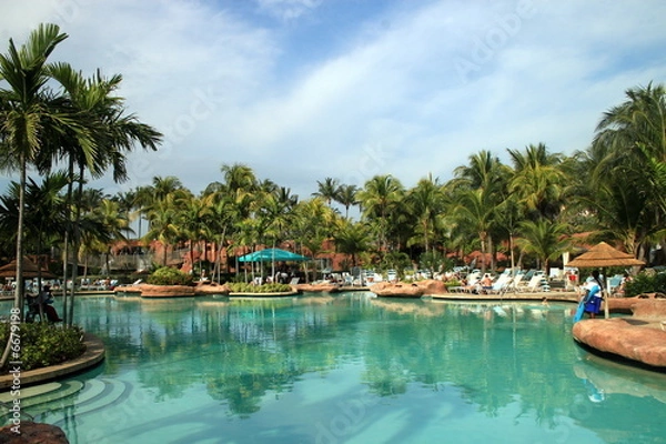 Fototapeta Palm Trees and Swimming Pool in the Bahamas