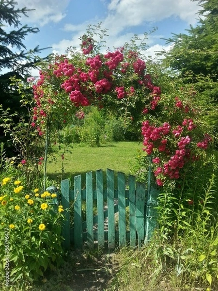 Obraz Entrance to colorful garden