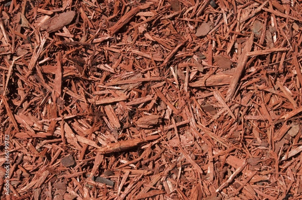 Obraz Tło czerwone cedrowe ściółki