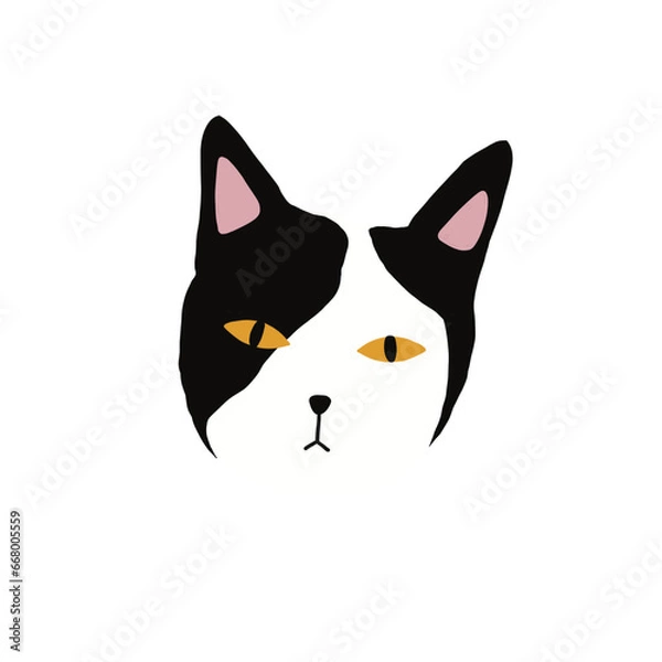 Obraz black white cat