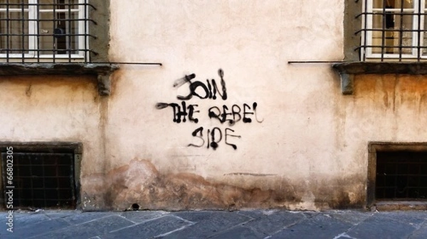 Obraz The rebel side