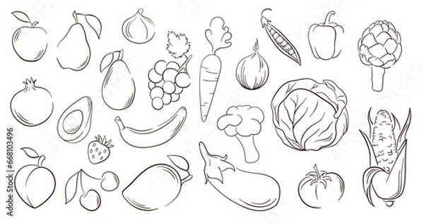 Fototapeta Vegetables and fruits in line art style. Big set of hand drawn vegetables, fruits and berries. Vector illustration isolated on a white background.