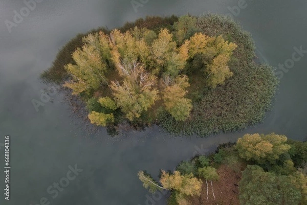 Fototapeta An island on a lake in Poland