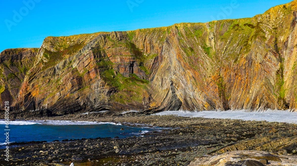 Fototapeta cliffs off South West Coastal Path England