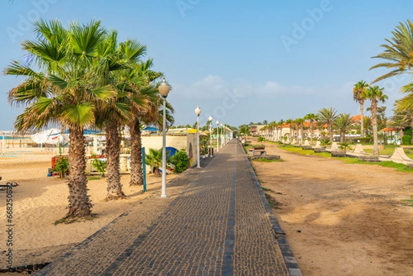 Obraz The promenade of Santa Maria on Sal island with palm trees and walking way