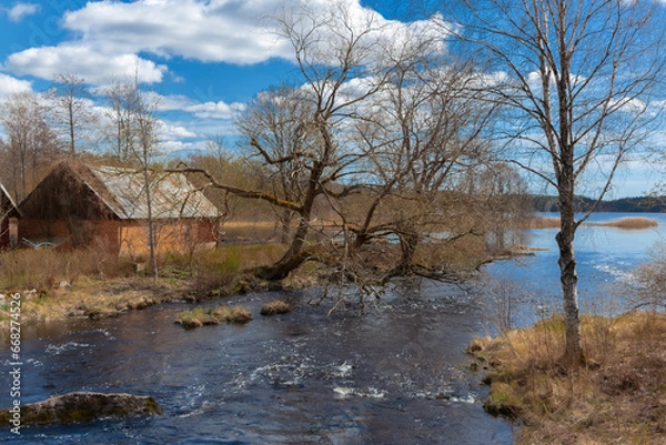 Fototapeta Flood after the snow melt in spring in Varmland / Sweden