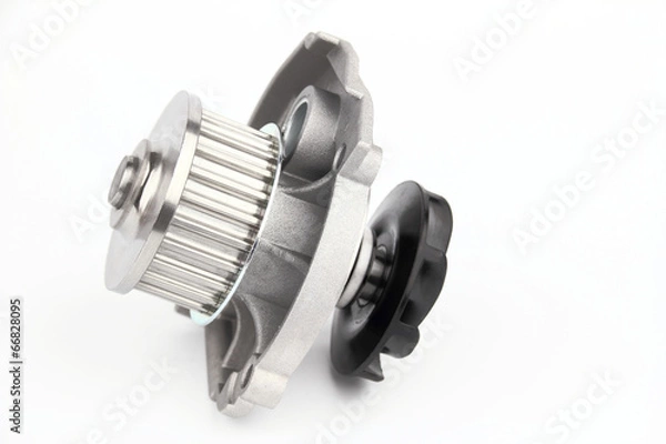 Obraz The water pump on the white background