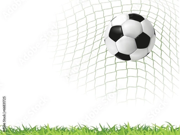 Fototapeta мяч в сетке