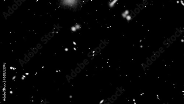 Fototapeta Falling snow flakes, Flying dust particles on a black background. Abstract winter background. Winter landscape with falling shining beautiful snow.