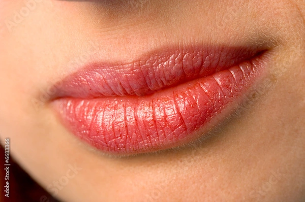 Fototapeta lips