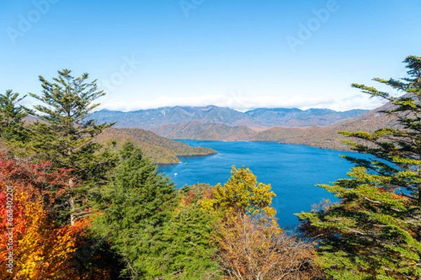 Fototapeta 栃木県日光市　奥の紅葉