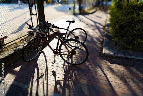 Obraz 夕暮れ時の公園２