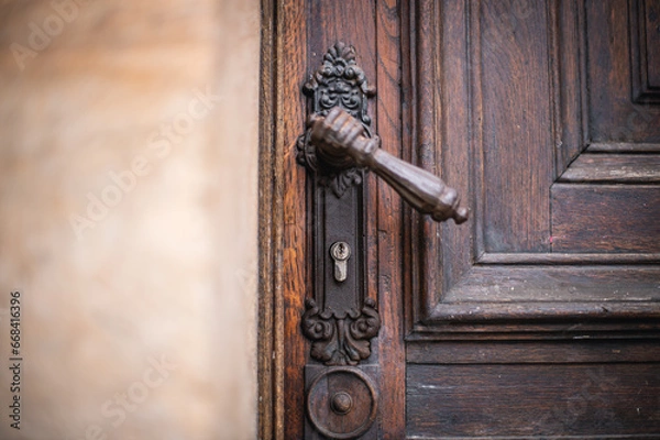 Obraz antique door knocker