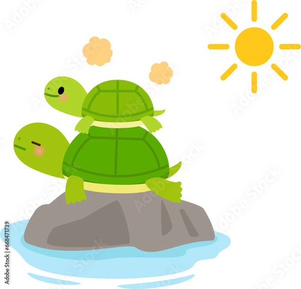 Fototapeta 甲羅干しをする亀