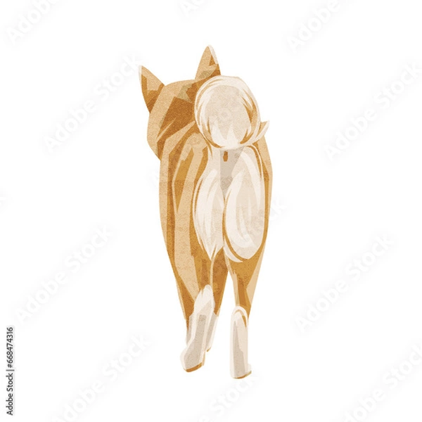 Fototapeta 芝犬の歩く後ろ姿手描き水彩風イラスト
