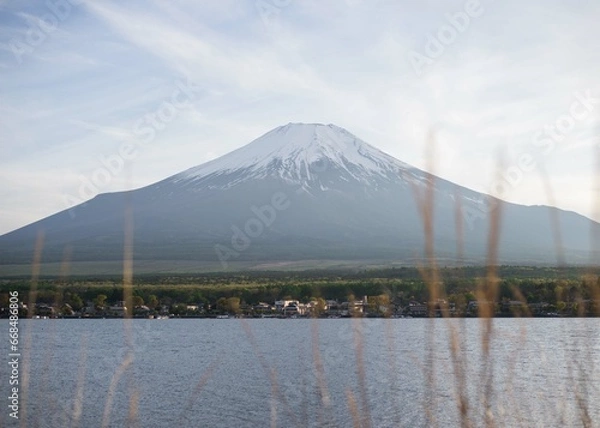 Fototapeta 日本観光　富士山　山中湖サイクリング