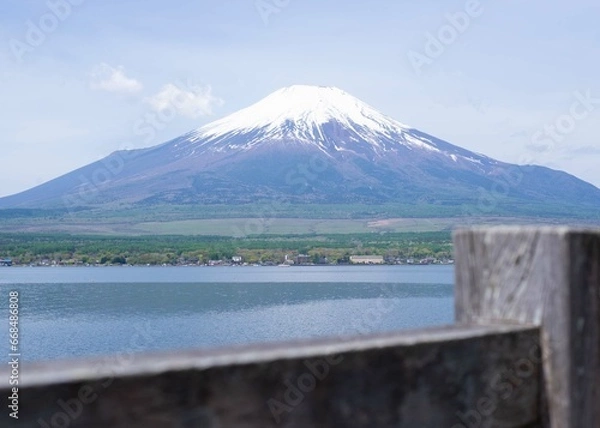 Fototapeta 日本観光　富士山　山中湖サイクリング