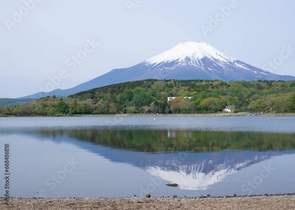 Fototapeta 日本観光　富士山　山中湖サイクリング