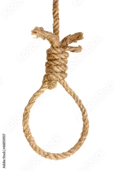 Obraz Rope noose on white
