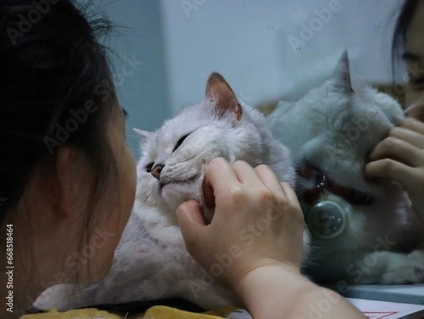 Obraz Pussycat Diary