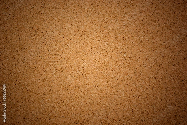 Obraz Empty corkboard background