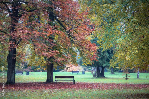 Obraz Park in autumn