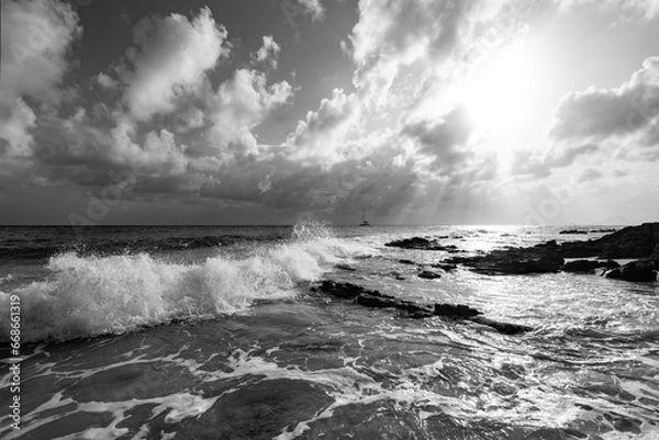 Fototapeta Panorama at “Grand Anse des Salines“ beach on tropical island Martinique in the Caribbean. Volconic rock and sandy beach in Saint Anne in the french paradise with wavy surf. Dramatic black and white.
