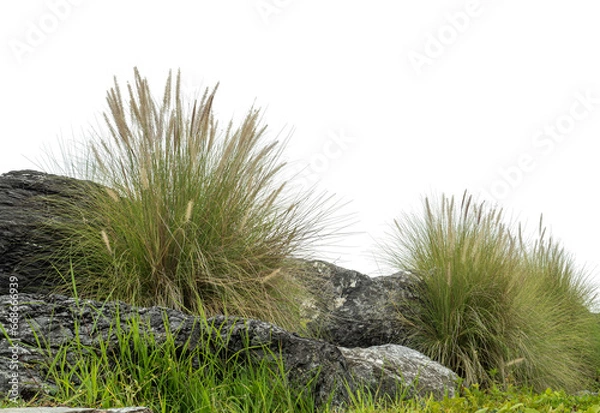 Fototapeta Big rocks with grass on a transparent background.